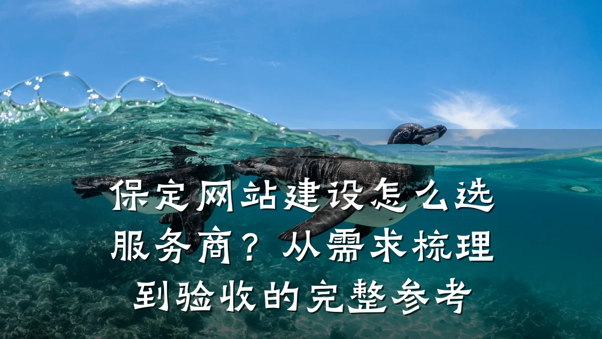 保定网站建设怎么选服务商？从需求梳理到验收的完整参考
