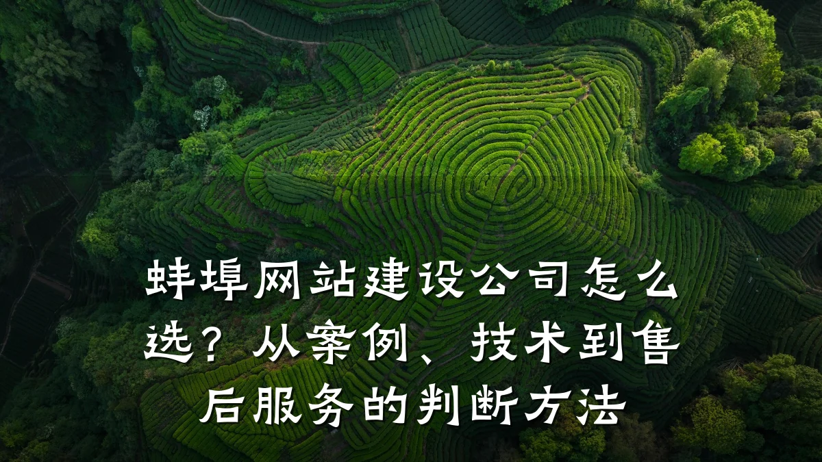 蚌埠网站建设公司怎么选?从案例、技术到售后服务的判断方法