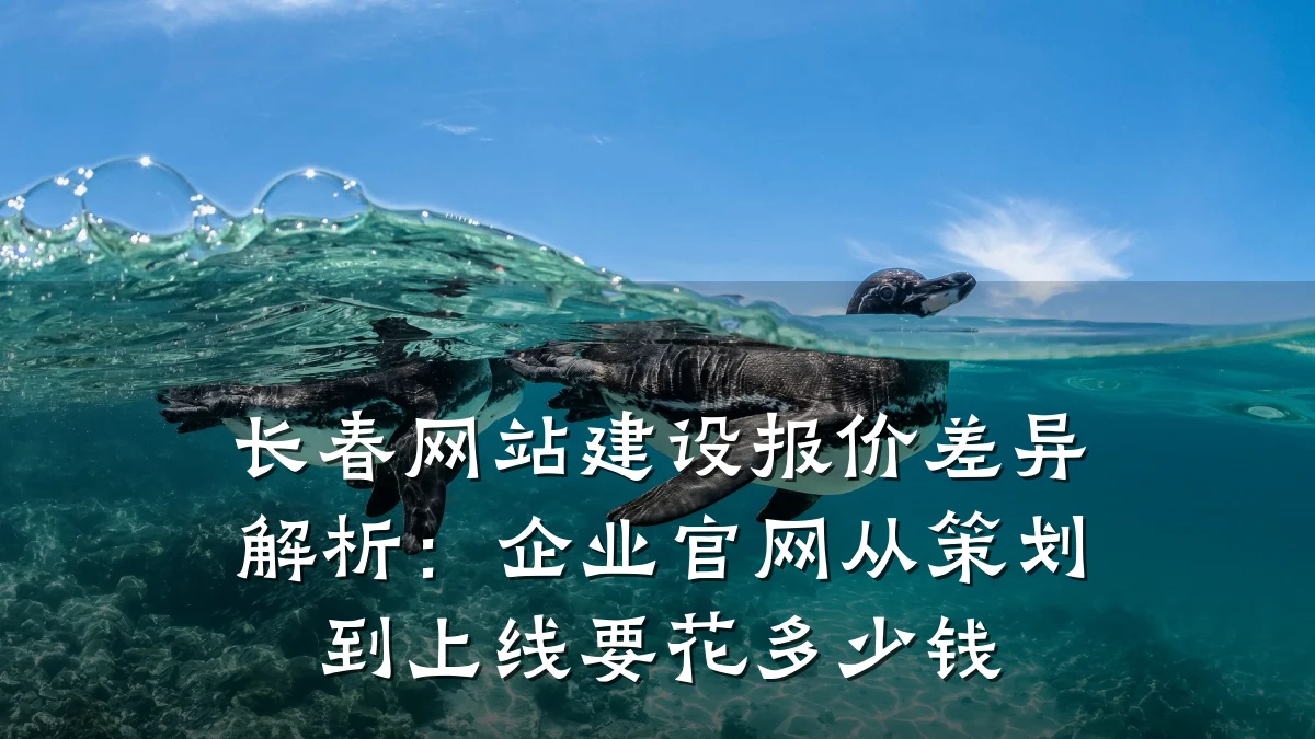 长春网站建设报价差异解析:企业官网从策划到上线要花多少钱