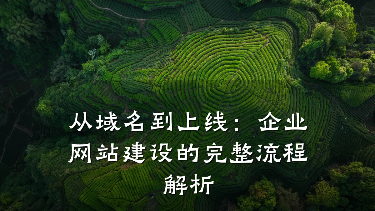 从域名到上线:企业网站建设的完整流程解析