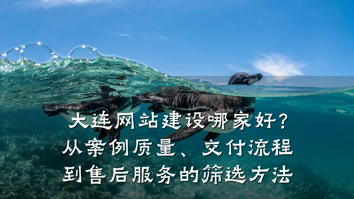 大连网站建设哪家好?从案例质量、交付流程到售后服务的筛选方法