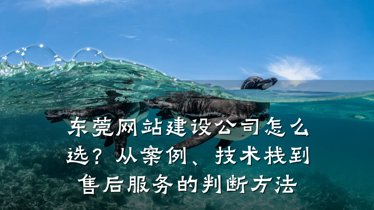 东莞网站建设公司怎么选？从案例、技术栈到售后服务的判断方法