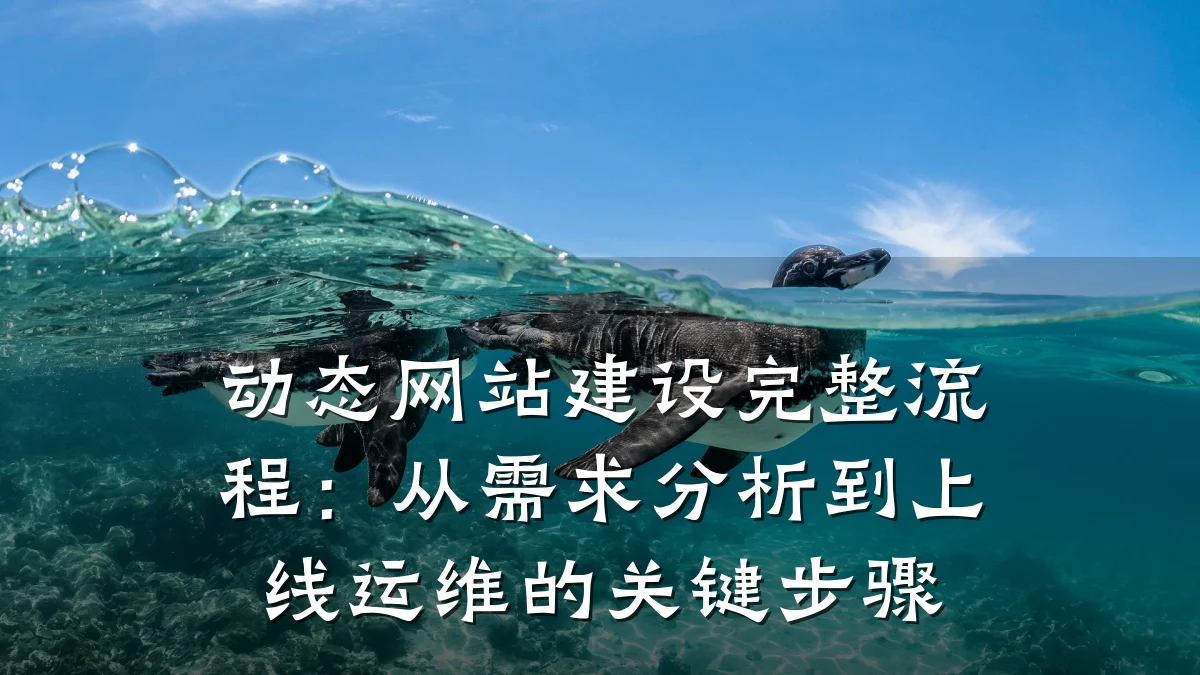 动态网站建设完整流程:从需求分析到上线运维的关键步骤
