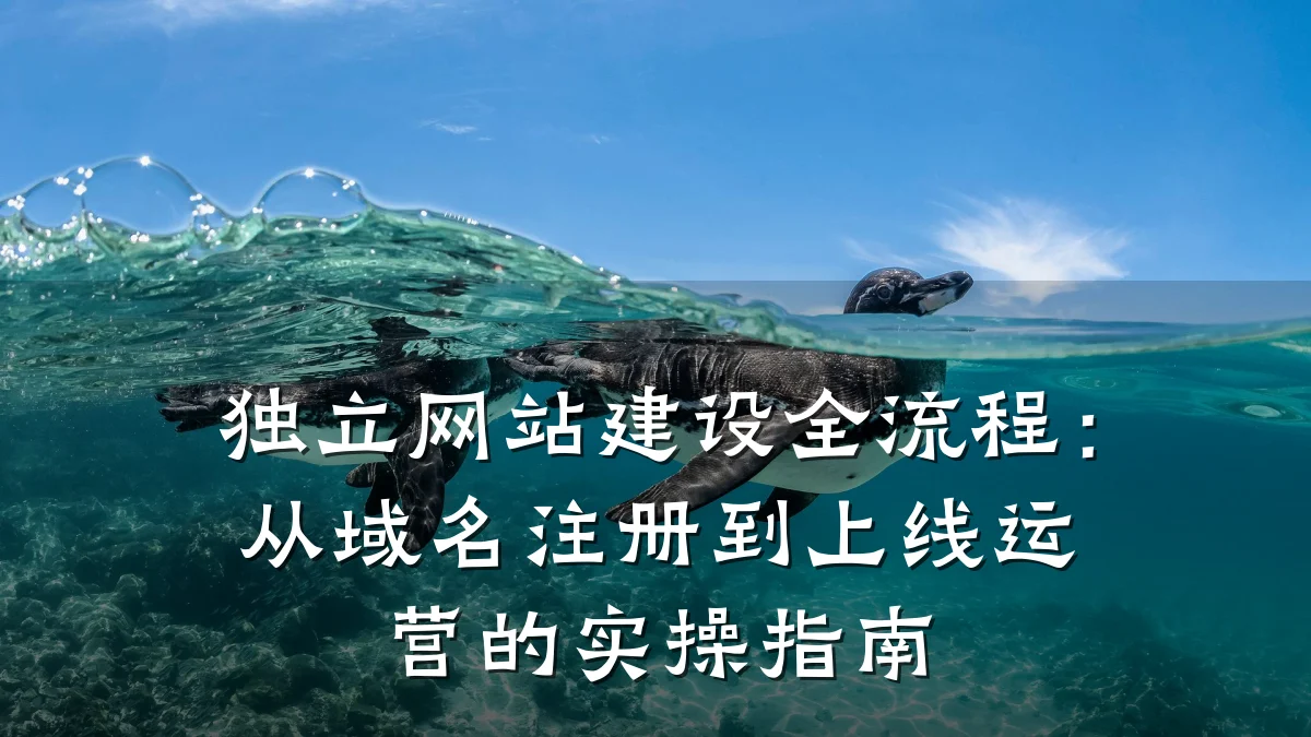 独立网站建设全流程:从域名注册到上线运营的实操指南