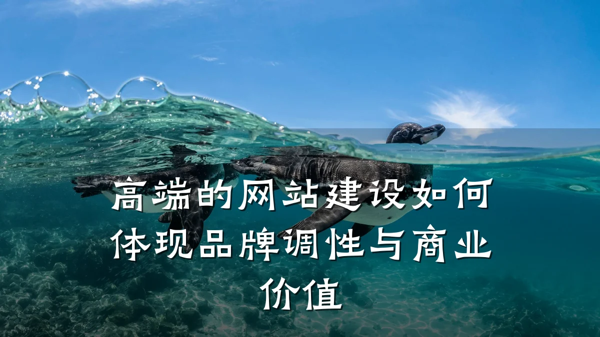 高端的网站建设如何体现品牌调性与商业价值
