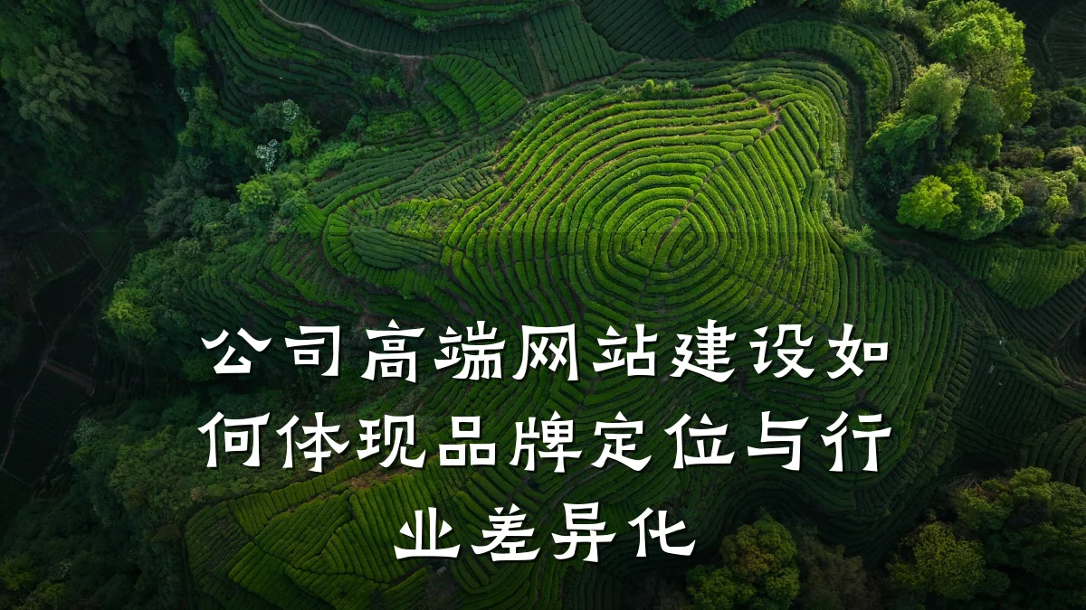 公司高端网站建设如何体现品牌定位与行业差异化