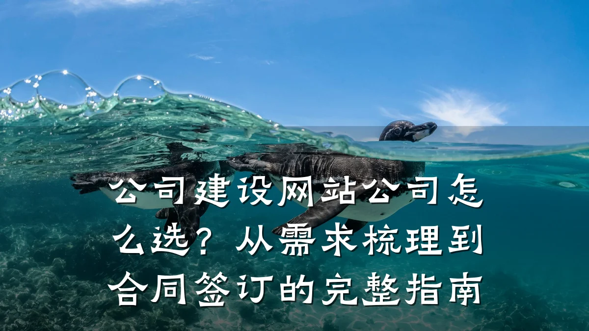 公司建设网站公司怎么选？从需求梳理到合同签订的完整指南