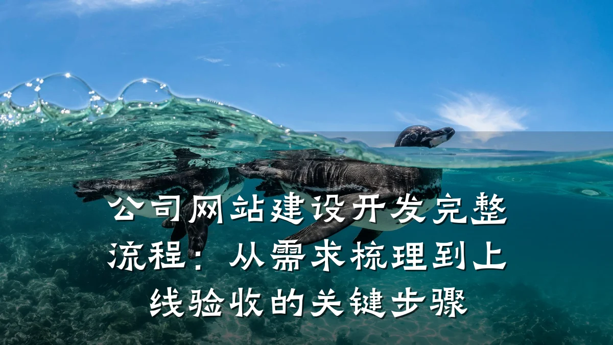 公司网站建设开发完整流程：从需求梳理到上线验收的关键步骤
