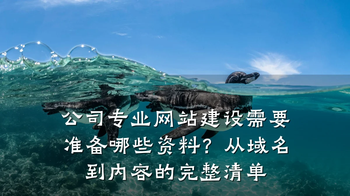 公司专业网站建设需要准备哪些资料？从域名到内容的完整清单