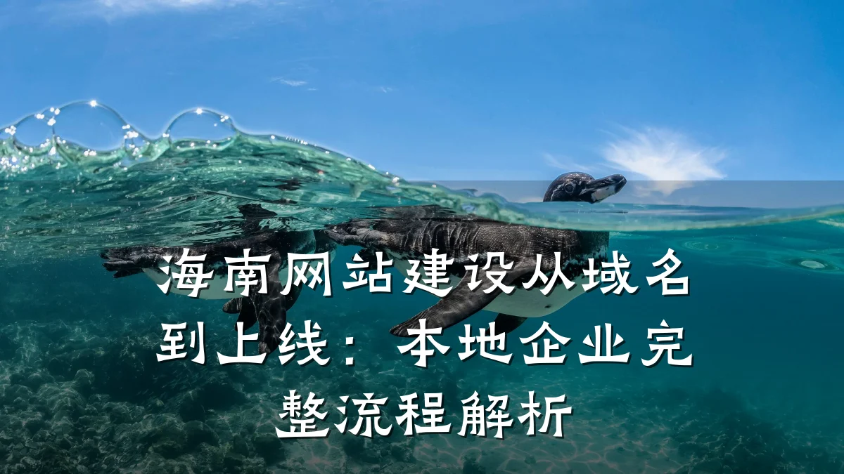 海南网站建设从域名到上线:本地企业完整流程解析