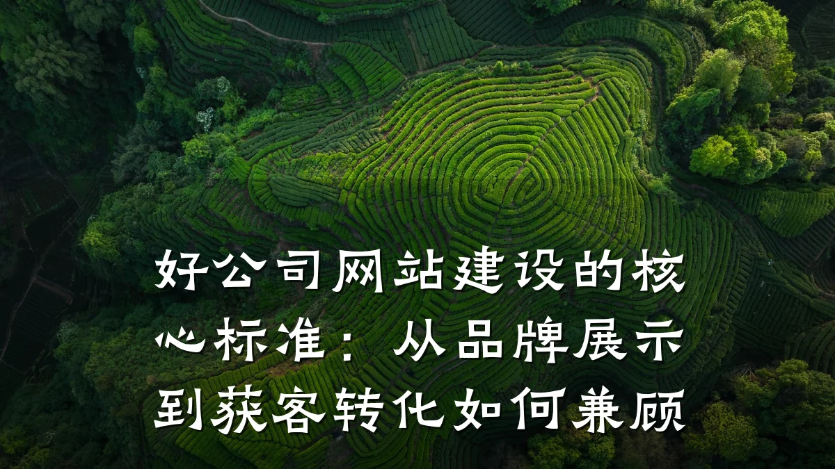 好公司网站建设的核心标准:从品牌展示到获客转化如何兼顾