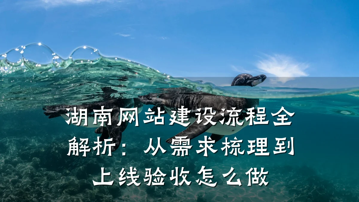 湖南网站建设流程全解析:从需求梳理到上线验收怎么做
