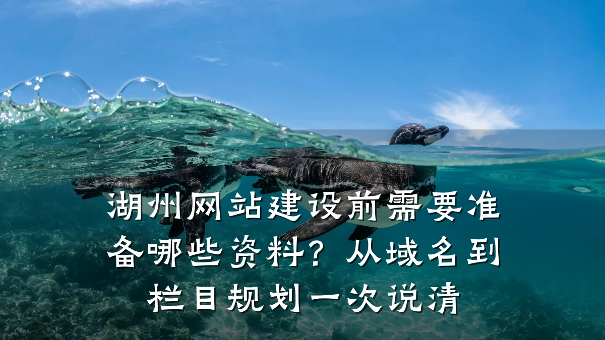 湖州网站建设前需要准备哪些资料?从域名到栏目规划一次说清