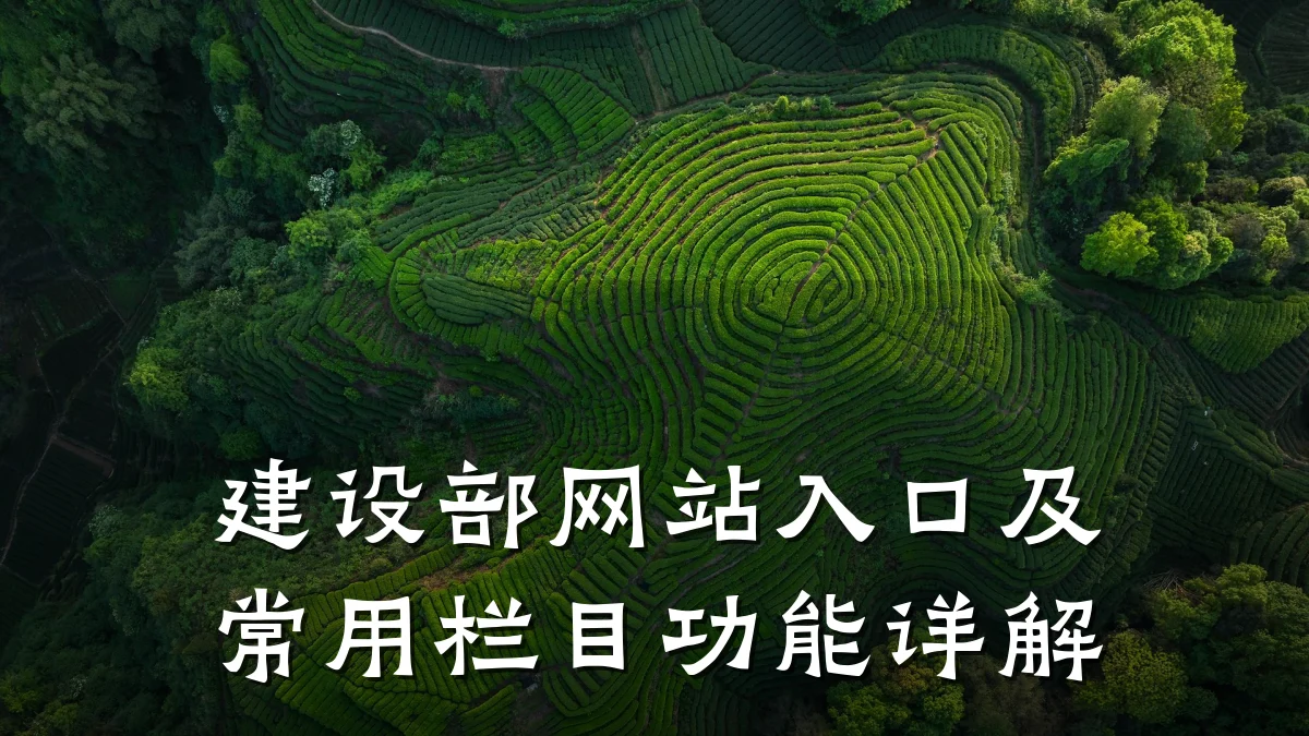 建设部网站入口及常用栏目功能详解