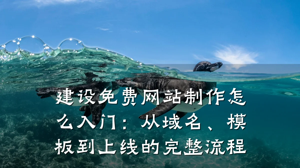 建设免费网站制作怎么入门:从域名、模板到上线的完整流程