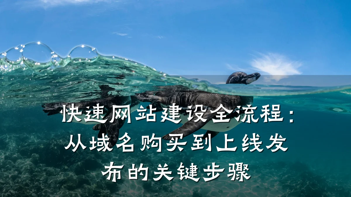快速网站建设全流程：从域名购买到上线发布的关键步骤
