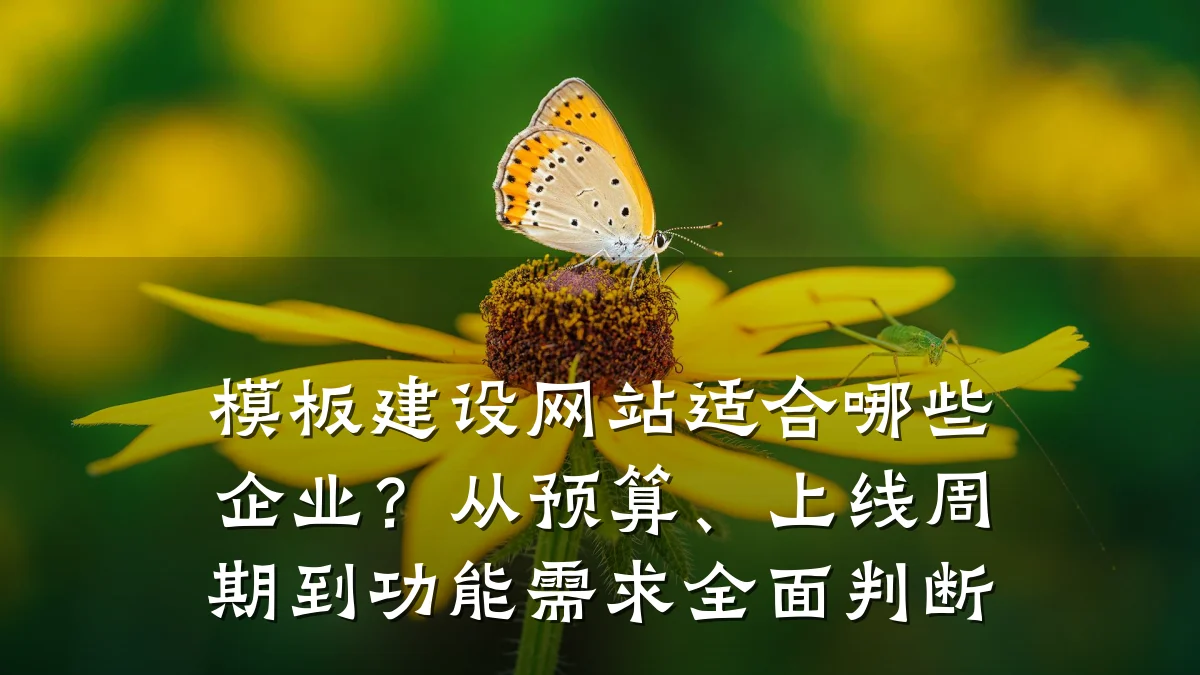模板建设网站适合哪些企业?从预算、上线周期到功能需求全面判断