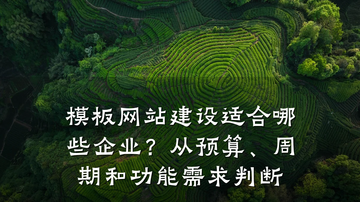 模板网站建设适合哪些企业?从预算、周期和功能需求判断
