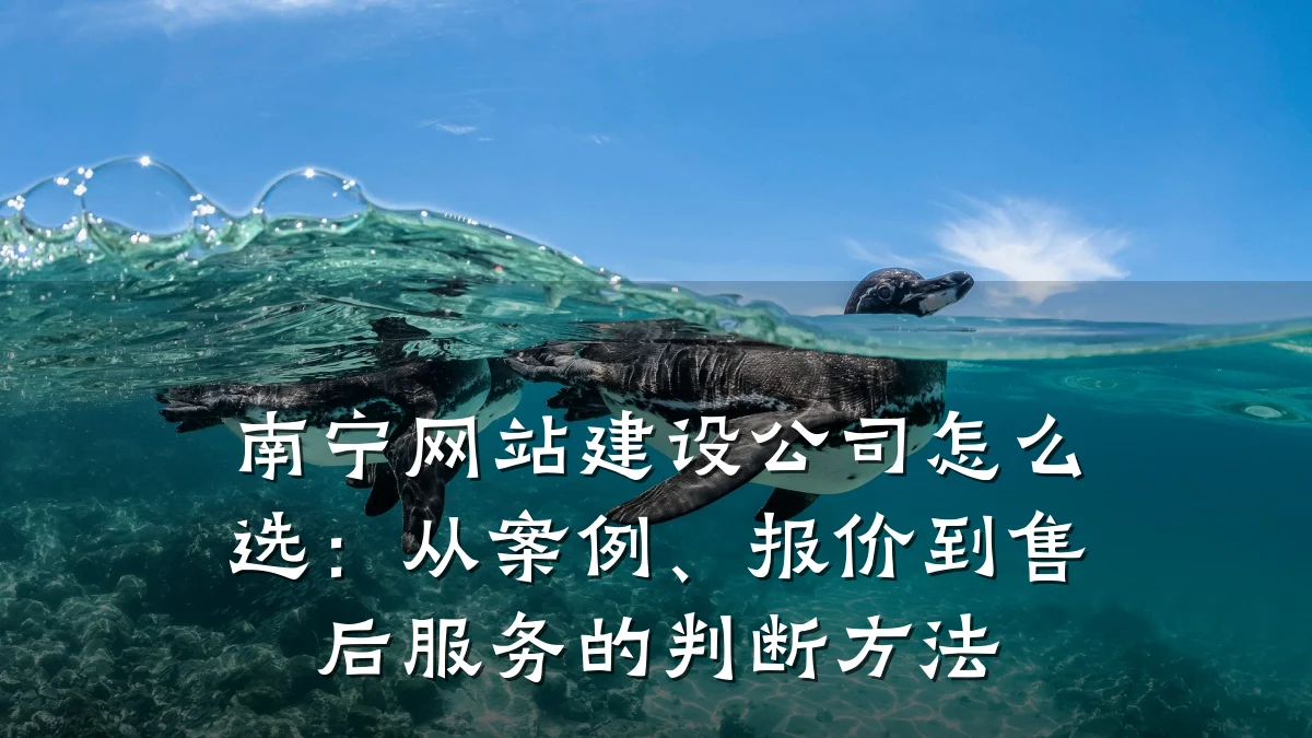 南宁网站建设公司怎么选:从案例、报价到售后服务的判断方法