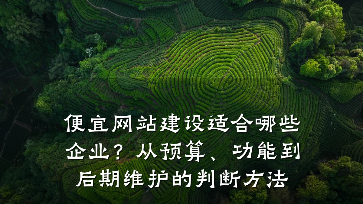 便宜网站建设适合哪些企业?从预算、功能到后期维护的判断方法