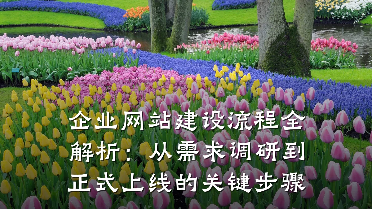 企业网站建设流程全解析:从需求调研到正式上线的关键步骤
