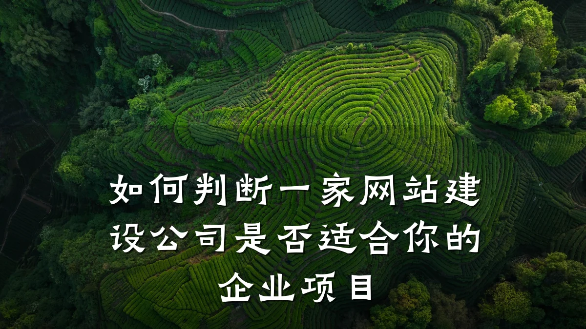 如何判断一家网站建设公司是否适合你的企业项目