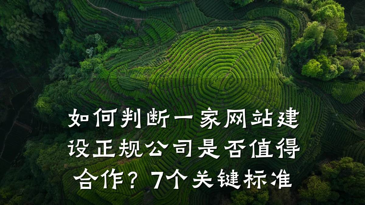 如何判断一家网站建设正规公司是否值得合作？7个关键标准