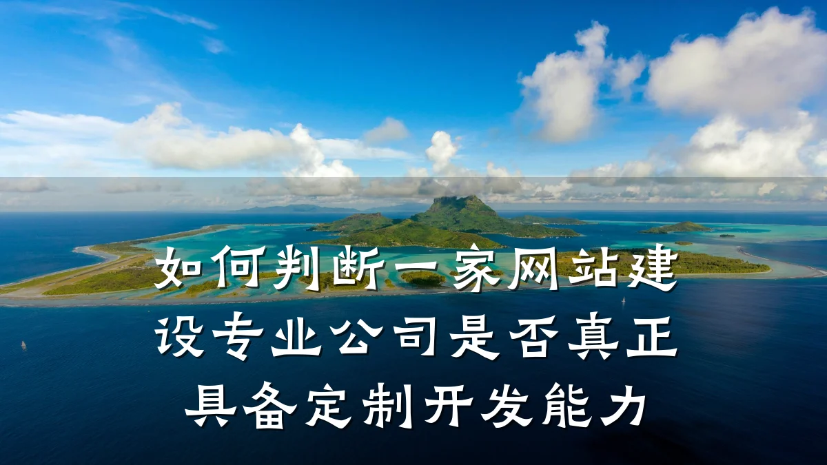 如何判断一家网站建设专业公司是否真正具备定制开发能力
