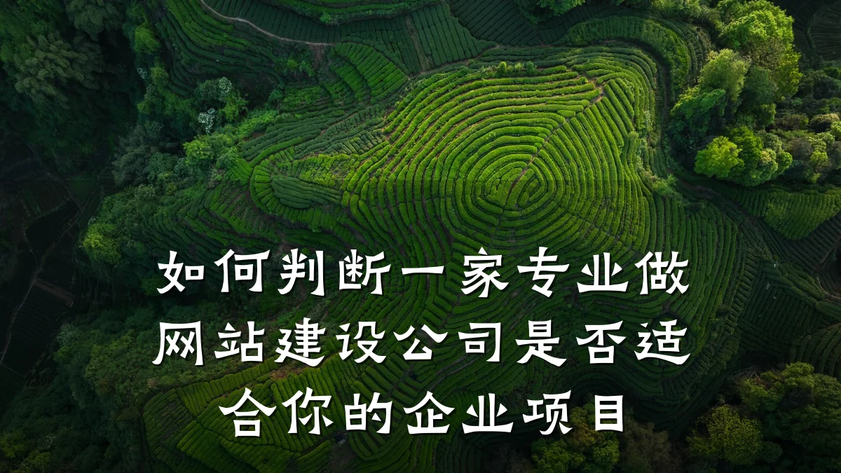如何判断一家专业做网站建设公司是否适合你的企业项目