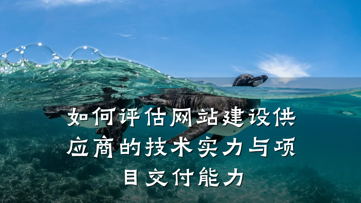 如何评估网站建设供应商的技术实力与项目交付能力