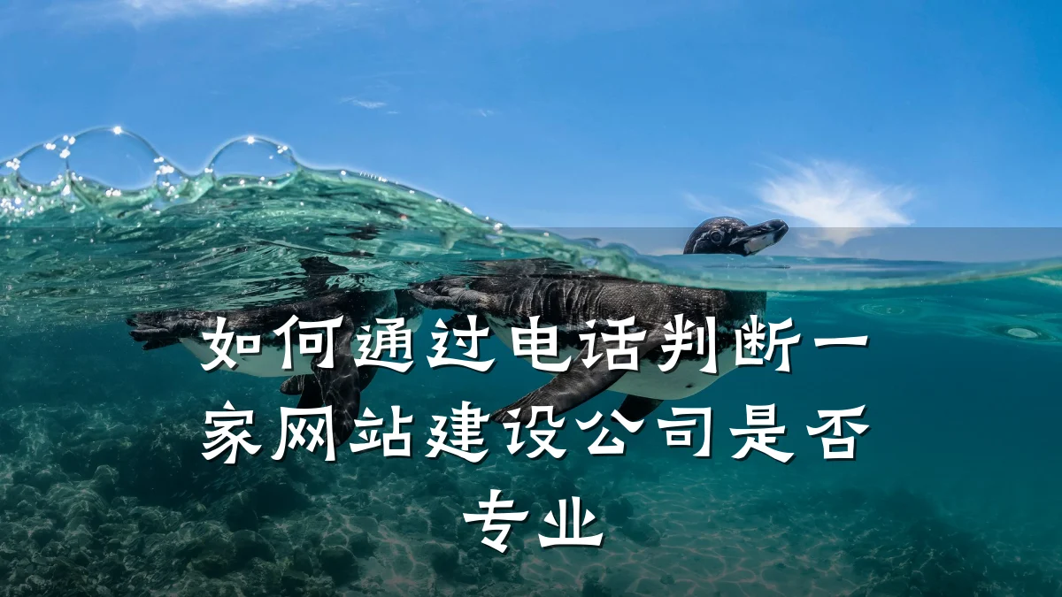 如何通过电话判断一家网站建设公司是否专业