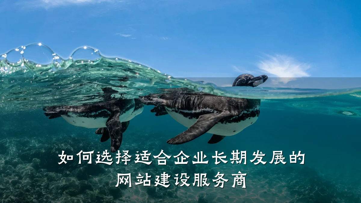 如何选择适合企业长期发展的 网站建设服务商