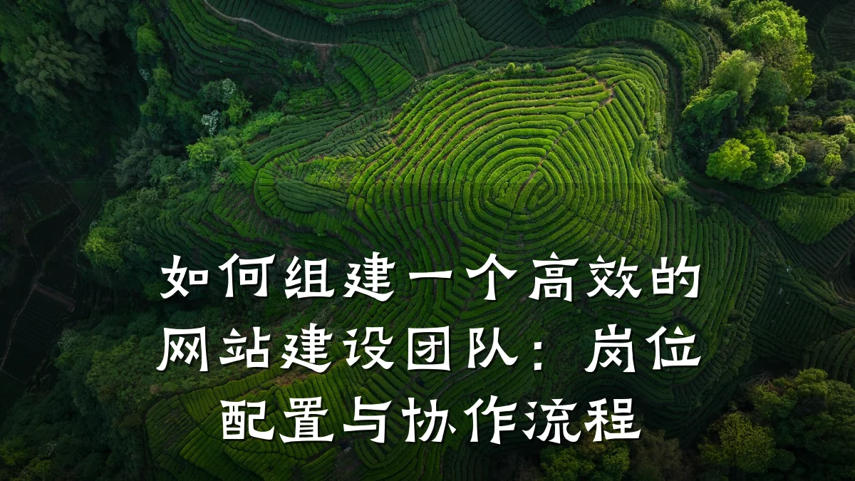 如何组建一个高效的网站建设团队:岗位配置与协作流程