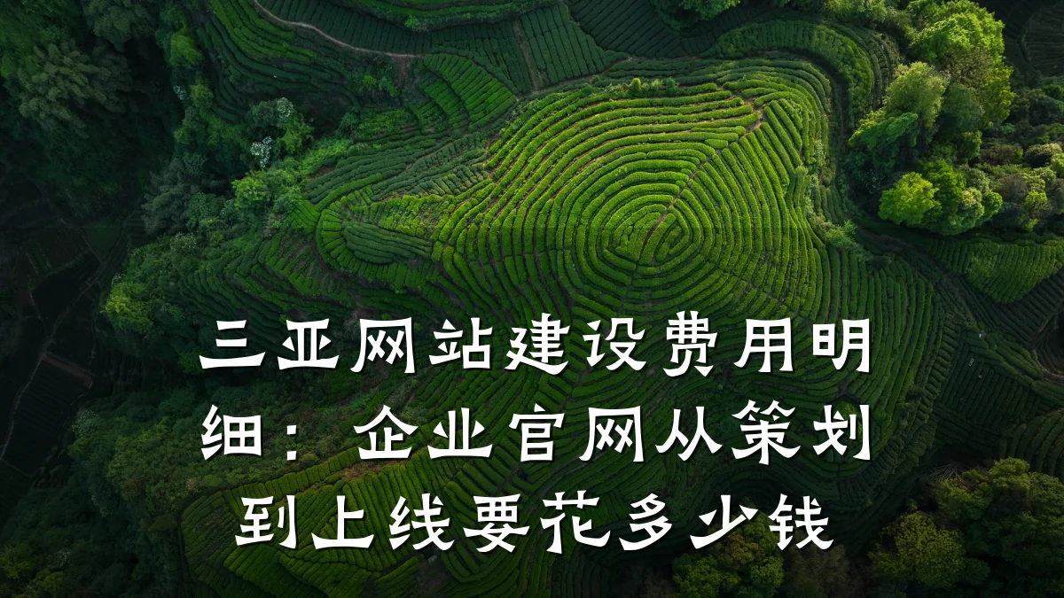 三亚网站建设费用明细:企业官网从策划到上线要花多少钱