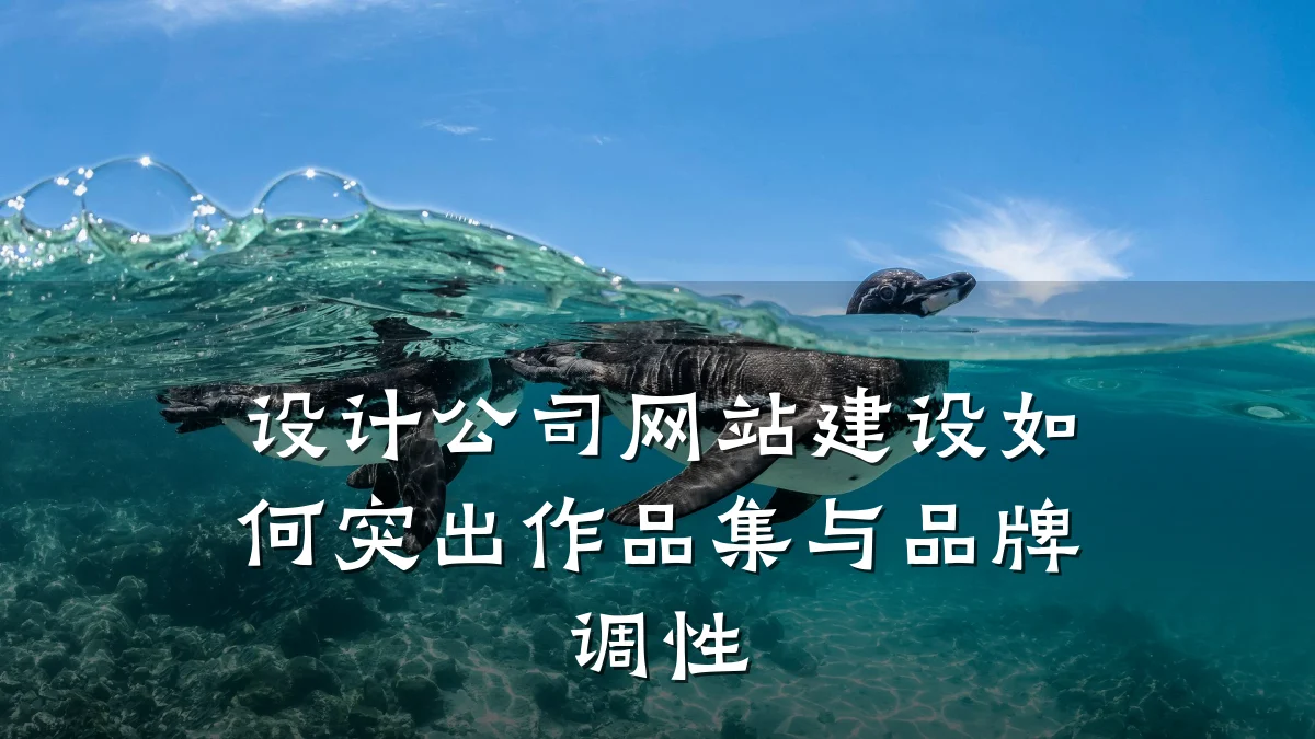 设计公司网站建设如何突出作品集与品牌调性