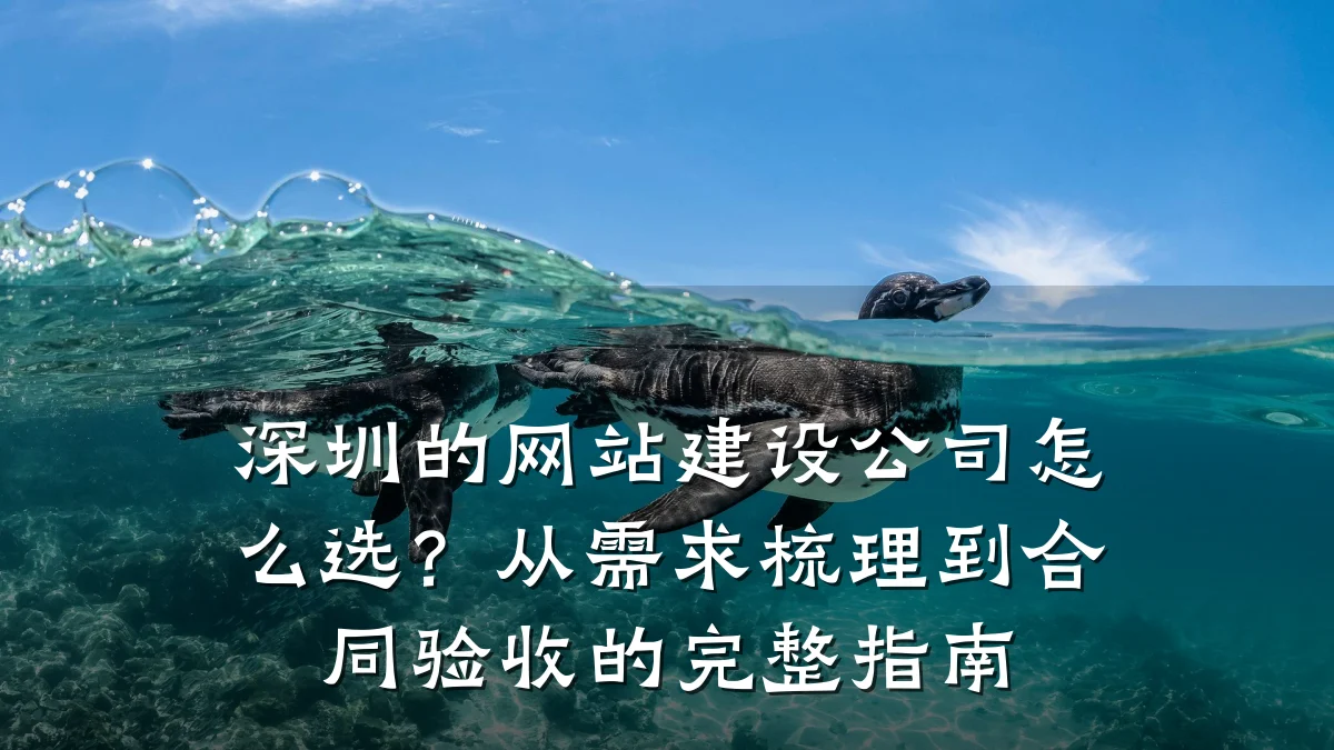 深圳的网站建设公司怎么选?从需求梳理到合同验收的完整指南