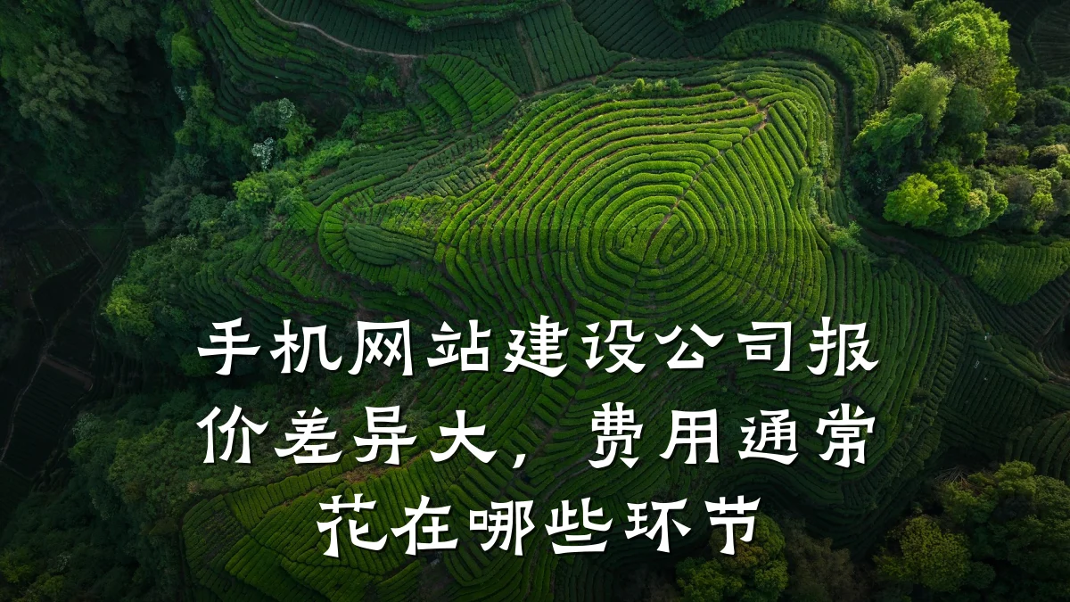 手机网站建设公司报价差异大,费用通常花在哪些环节