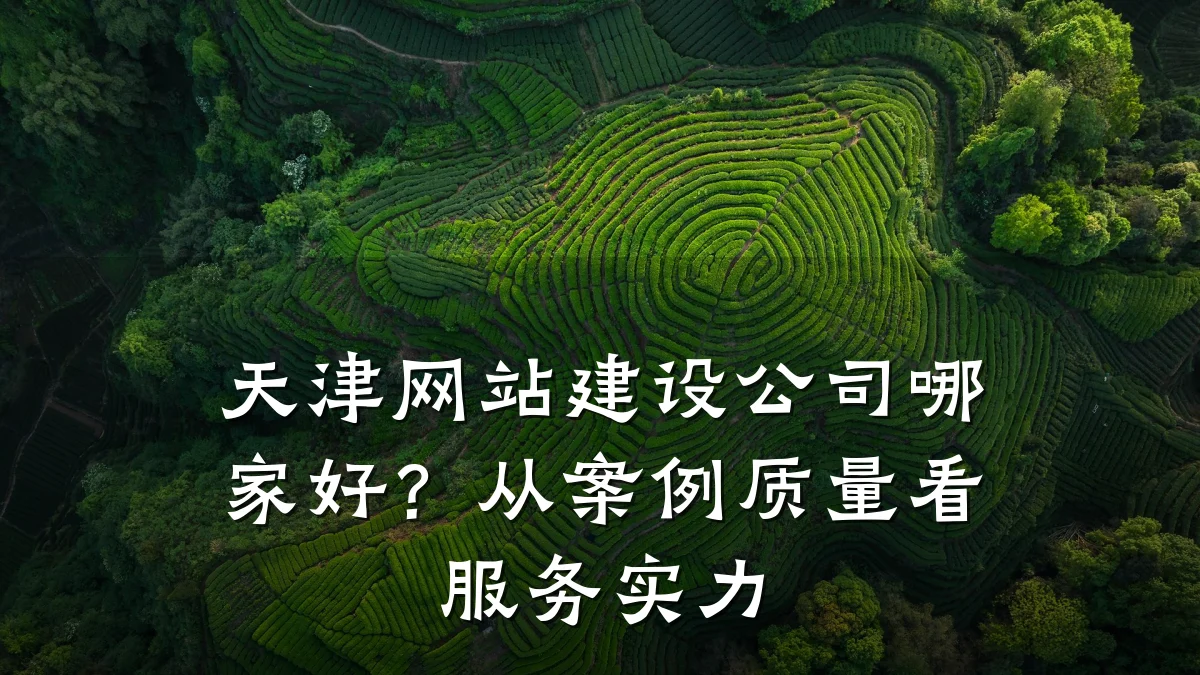 天津网站建设公司哪家好？从案例质量看服务实力