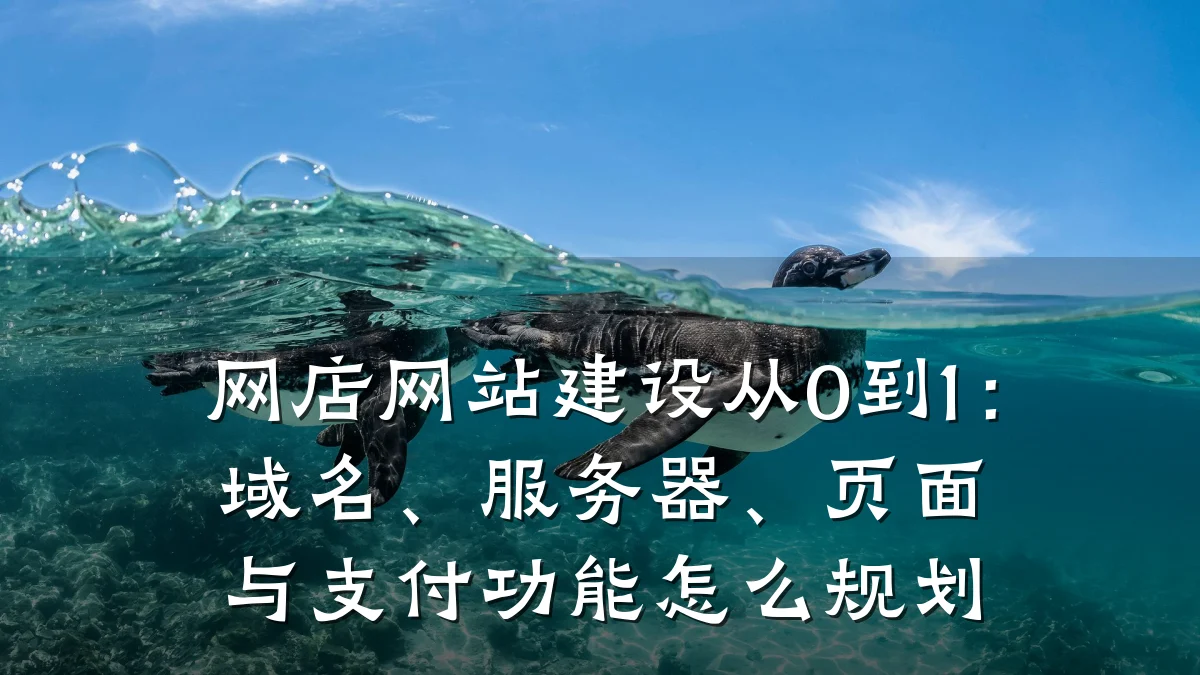 网店网站建设从0到1:域名、服务器、页面与支付功能怎么规划