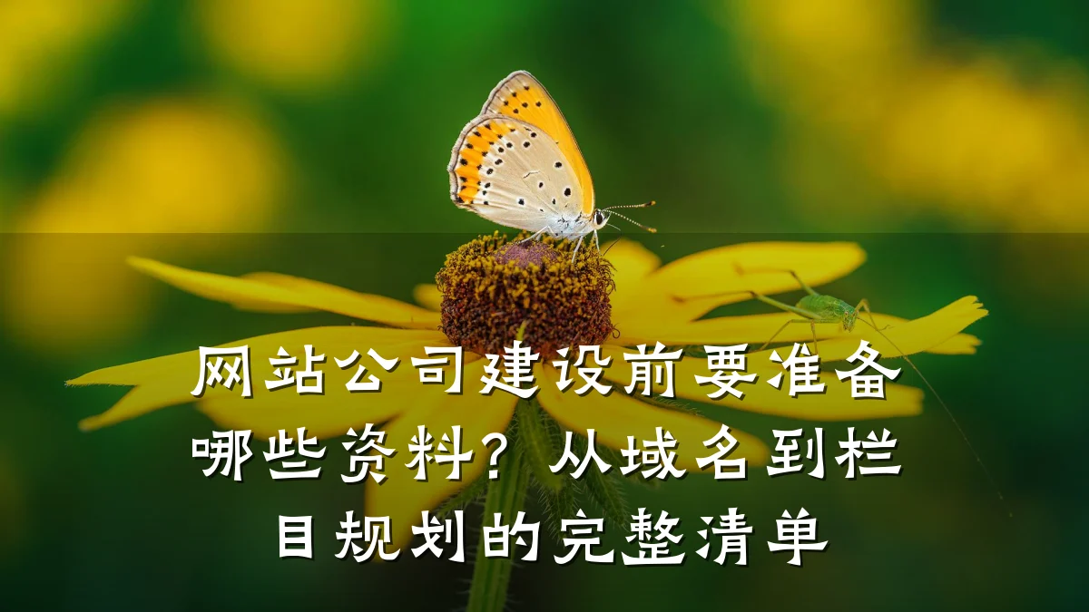 网站公司建设前要准备哪些资料?从域名到栏目规划的完整清单