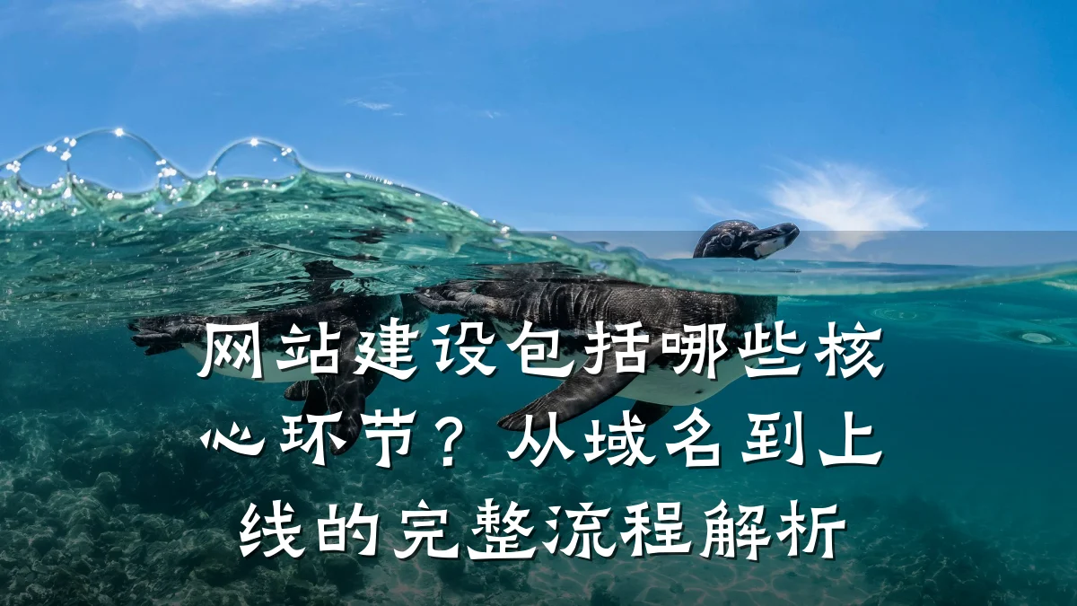 网站建设包括哪些核心环节?从域名到上线的完整流程解析