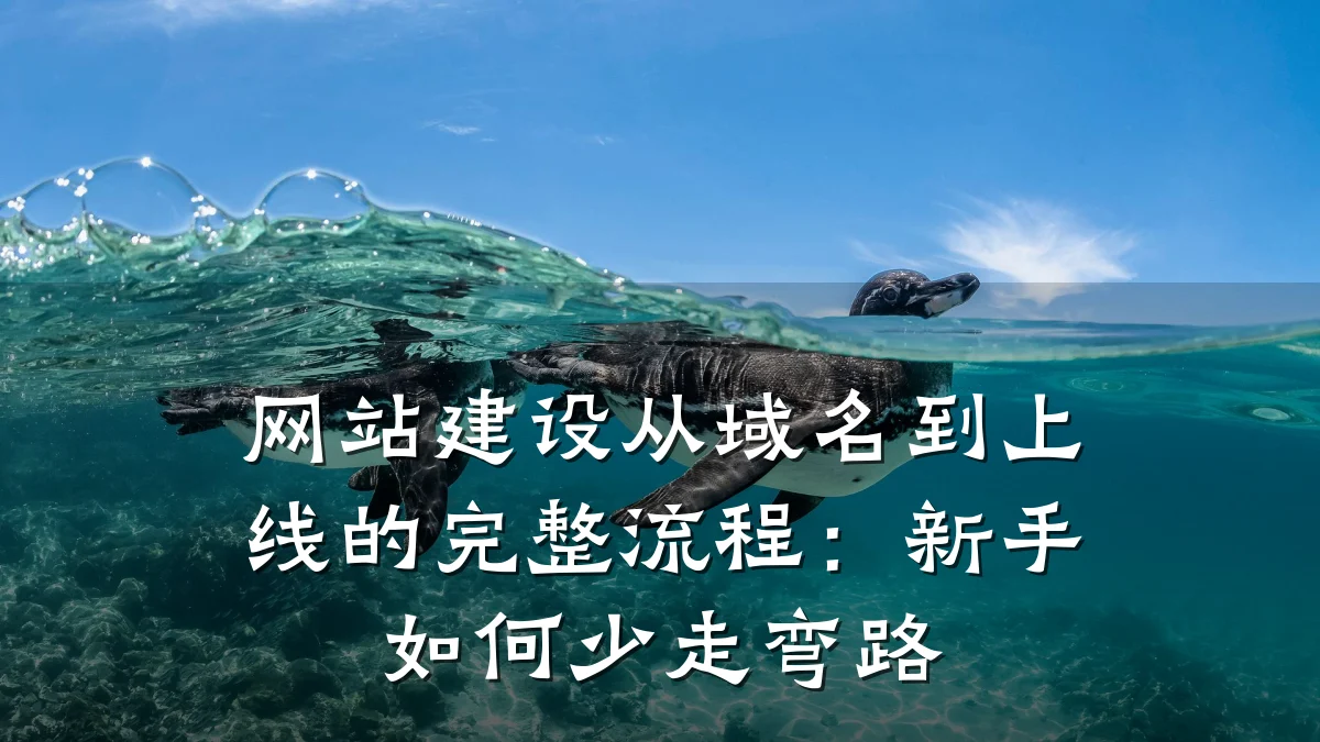 网站建设从域名到上线的完整流程:新手如何少走弯路