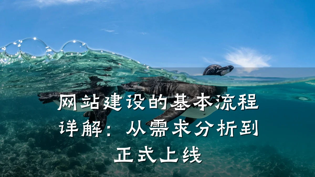 网站建设的基本流程详解:从需求分析到正式上线