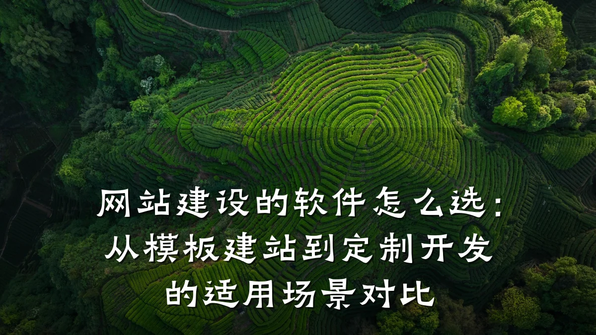 网站建设的软件怎么选:从模板建站到定制开发的适用场景对比