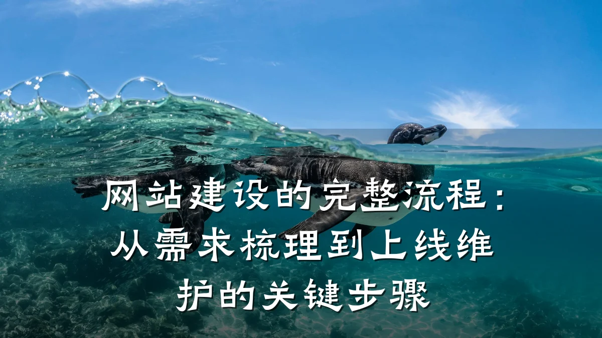 网站建设的完整流程：从需求梳理到上线维护的关键步骤