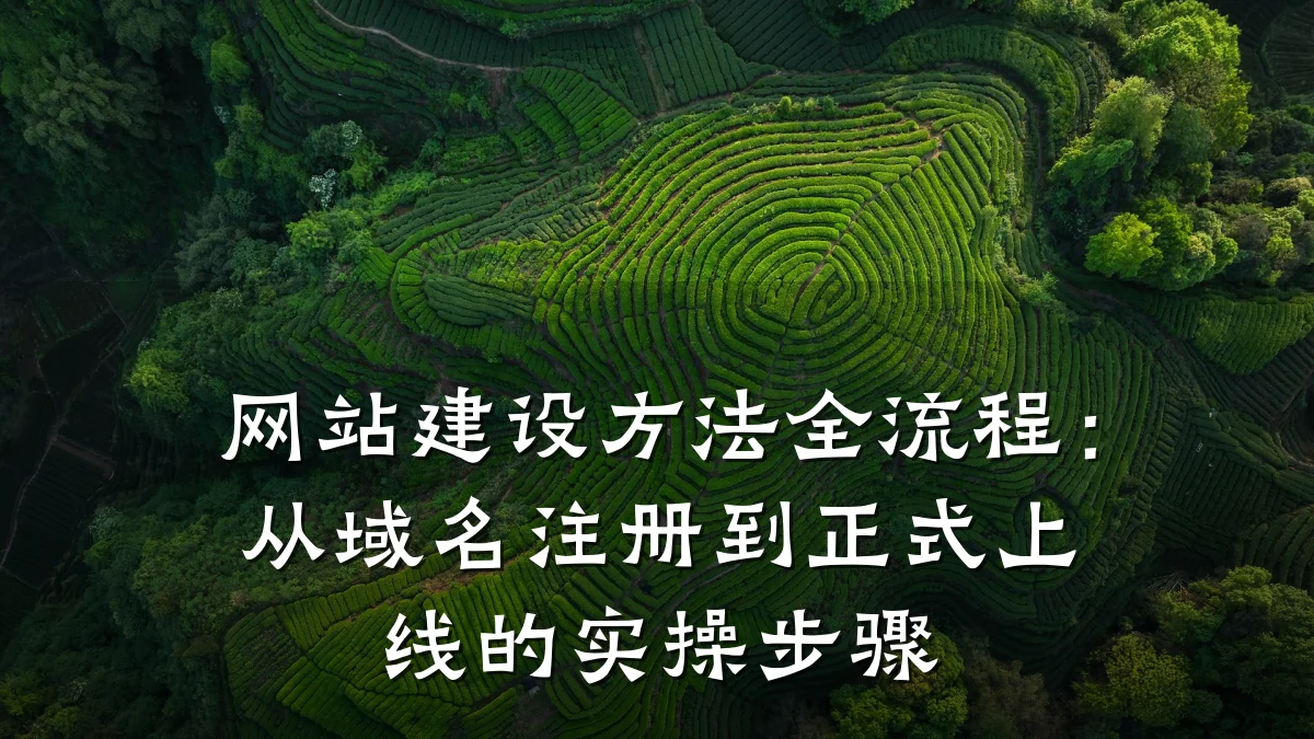 网站建设方法全流程:从域名注册到正式上线的实操步骤