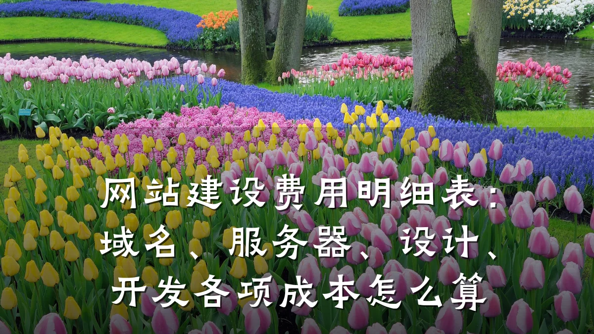 网站建设费用明细表:域名、服务器、设计、开发各项成本怎么算