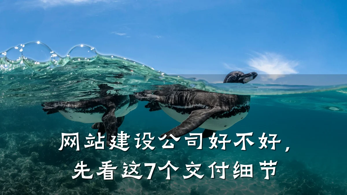 网站建设公司好不好，先看这7个交付细节