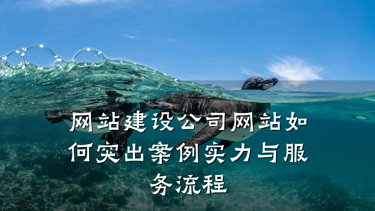 网站建设公司网站如何突出案例实力与服务流程