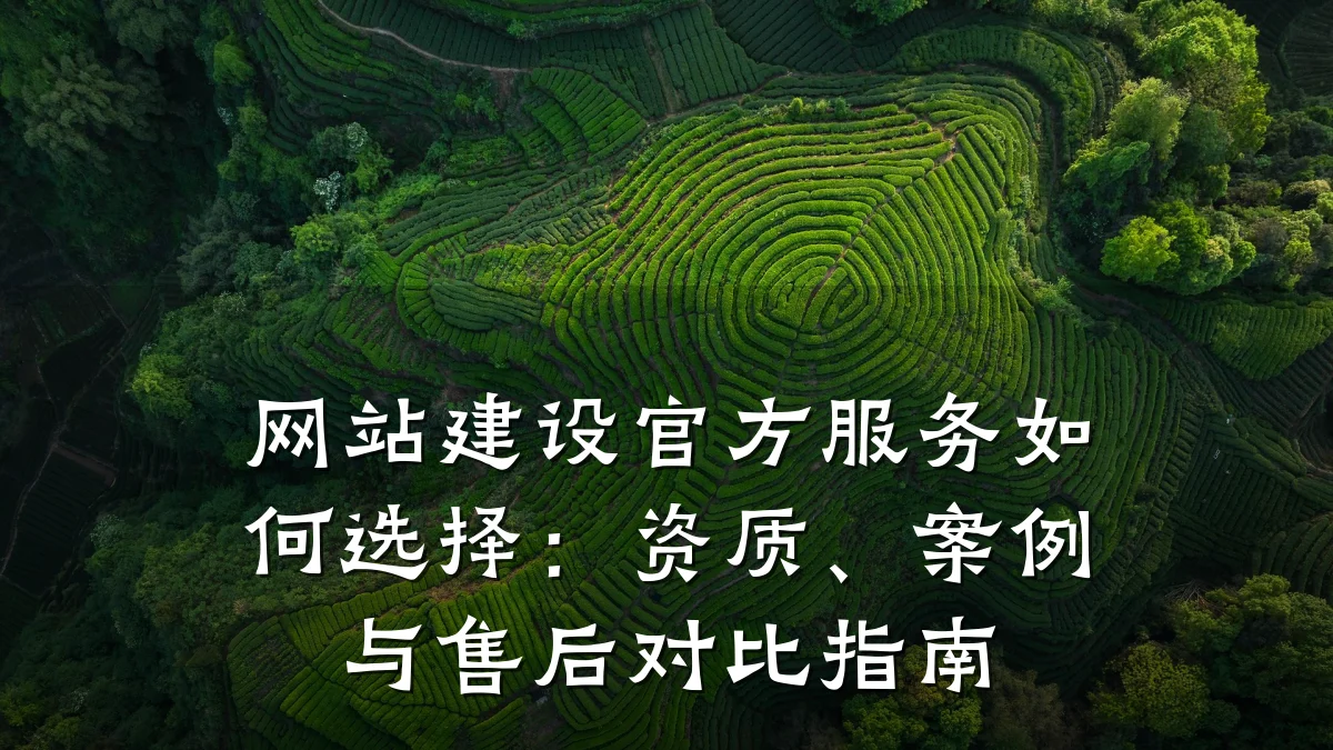 网站建设官方服务如何选择：资质、案例与售后对比指南